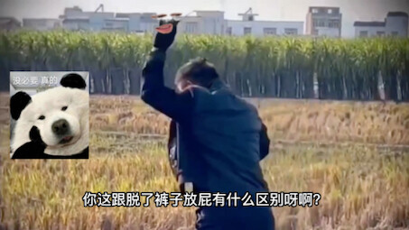 老鼠:兄弟，我刨你家祖坟了？
