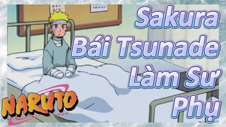 Sakura Bái Tsunade Làm Sư Phụ