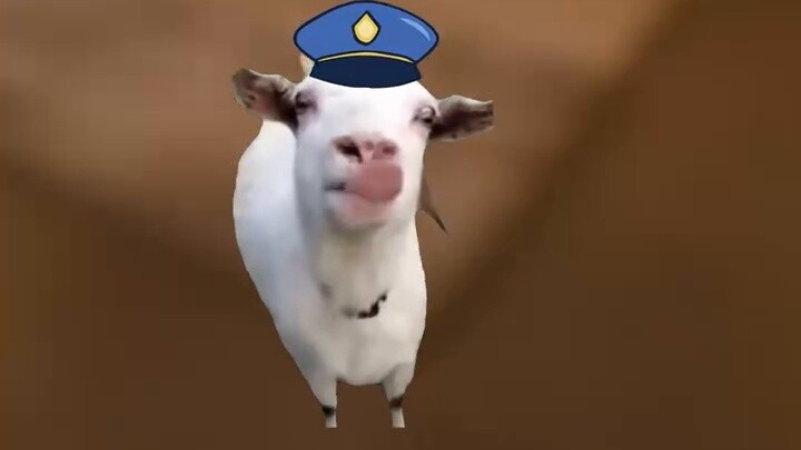 Tập 13 của "Osan Mission" #catemem #catmememinitheater #Conan #Genshin Impact