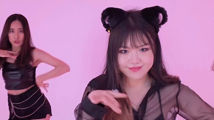 Want all 7 cats? You can't take any of them away~ Meow~ AOA-Catwalk 7-person version