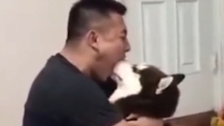 “Woof Woof Team Has Committed a Great Sin”