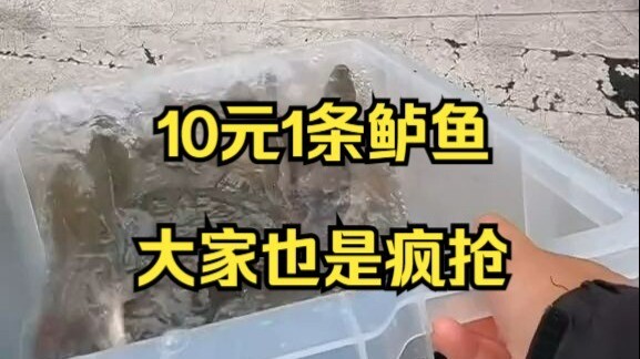 ยิ่งมีคนแย่งกันซื้อยิ่งขายดี