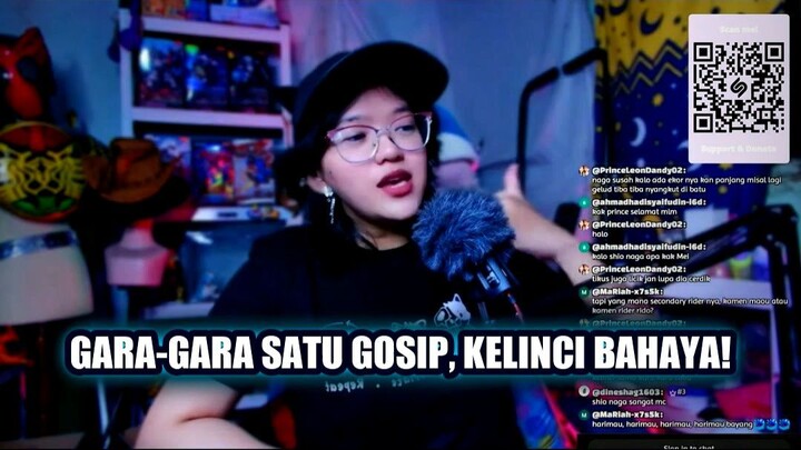 💥 KELINCI SOK CERIA? DIA JUGA BISA LICIK!