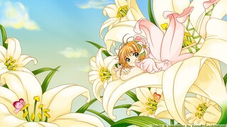 Thủ Lĩnh Thẻ Bài Tập 6