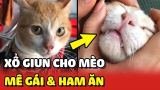 Cách XỔ GIUN đơn giản cho những chú mèo MÊ GÁI và HAM ĂN 😂 | Yêu Lu