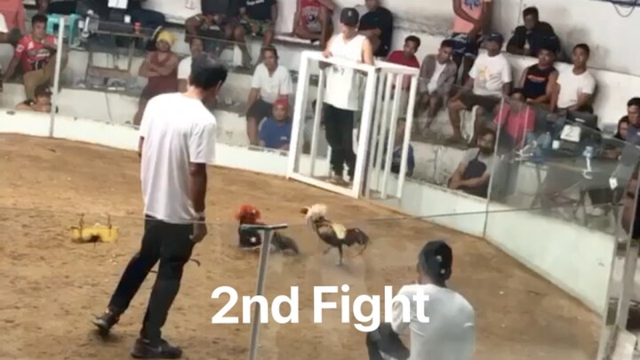 Full Brothers 2hits Champion @ Igay Cockpit Arena