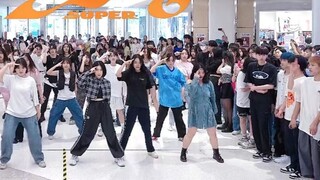 【SEVENTEEN】Bạn fan này làm việc chăm chỉ quá! Người hâm mộ dõi theo sự điên rồ của chủ sở hữu! ! Vũ 