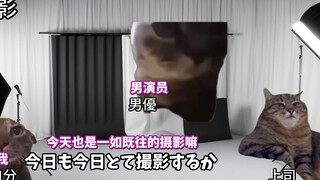【熟肉】在南桐片制作公司打工的日常（迟漏篇） | 猫meme