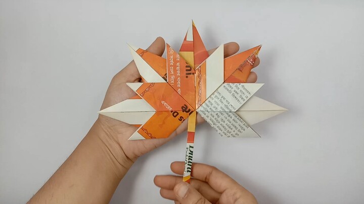 A Tree That Turns Into Fire 🍁