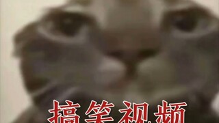 搞笑视频🌝