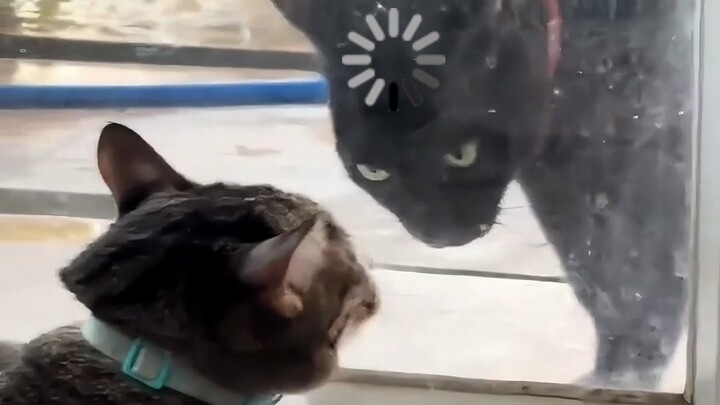 Para Pencari Masalah dalam Kehidupan Sehari-hari