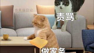 Lý do bị mắng khi ở nhà nghỉ Tết!