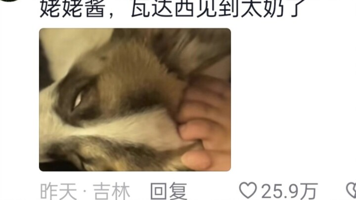 ดูหนังสยองขวัญ แม่เกร็งเท้าแน่นตลอดเวลา โดยไม่ทันสังเกตเห็นหมาเลย