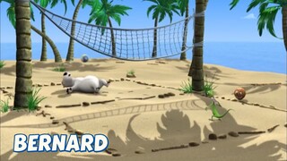 BERNARD BEAR || BEACH VOLLEYBALL - CARTOON CHILDREN