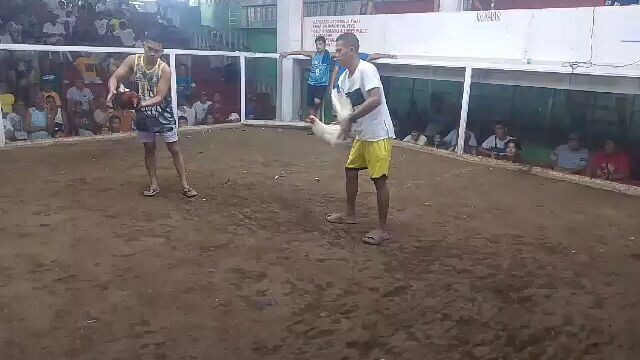 lahat sinebalang na nilaban talo sya lang Ang  nakapasa sa exam at Paraputo stansya Cock pit arena..