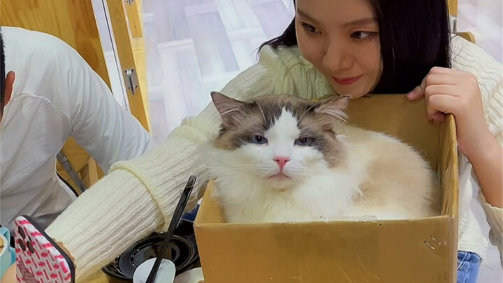 The Greedy Boss and His Tiny Employees