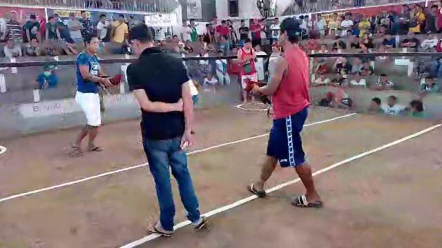 01/12/24 1st fight dalunsapi, 2 cock derby champion thanks papa G! NVE backyard farm. @UDC