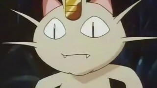 After spending so much time with people, Meow Meow even forgot that he is also a Pokémon.