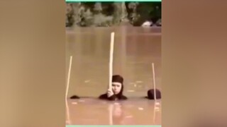 funny foryou xuhuong fyp hài laugh