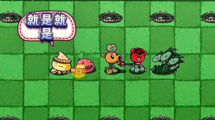 Devil Fruit