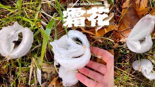 宝，你有见过霜花吗？