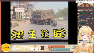 ไอ้โง่ญี่ปุ่นดู "Wild Tire" อันตรายมาก!