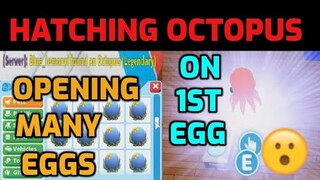 OPENING OCEAN EGGS & HATCHING THE LEGENDARY OCTOPUS ON THE 1ST EGG - ADOPT ME OCEAN EGG UPDATE