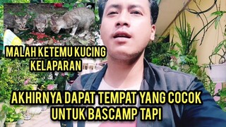 Induk Kucing Dan Anaknya Minta Makan Saat Survei Cari Rumah Kontrakan Untuk Bascamp Cats Lovers Tv