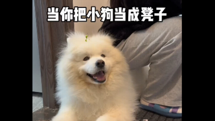 多多：把耶坐痛了，耶可是会骂人的哦！