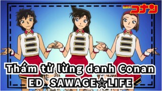 Thám tử lừng danh Conan ED52 「SAWAGE☆LIFE」- Mai Kuraki_A