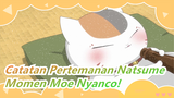 Catatan Pertemanan Natsume|Momen Super Moe Nyanco!Berapa banyak nama yang dimilikinya?