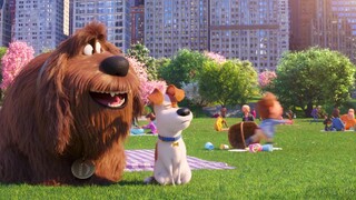 Secret Life Of Pets 2 1080p