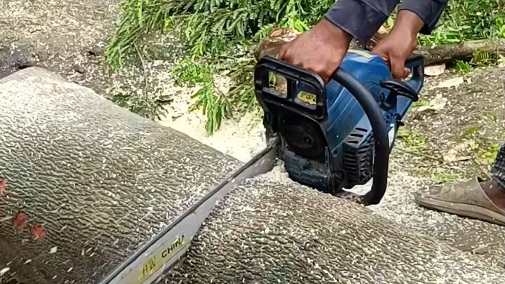 Amazing Tree Cutting Skills