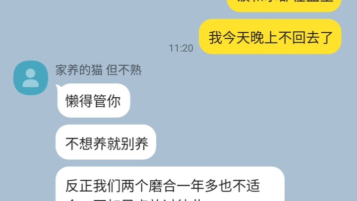 Setelah diremehkan oleh kucing peliharaanmu, kamu pun pergi ke kafe kucing.