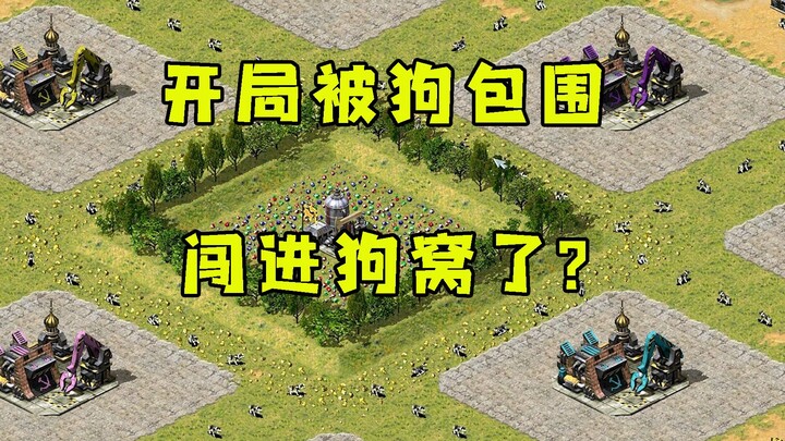 红警小块地开局就被狗包围！难道是闯进狗窝了！