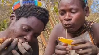 This is the first time I have seen people fighting over a root.
