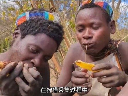 This is the first time I have seen people fighting over a root.