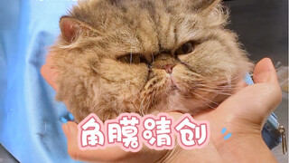 二月份刚做了右眼手术，取出坏死的病灶，结果今天又来了，左眼又角膜溃疡了