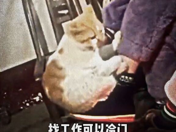 Quả là một trường hợp rất niche rồi.