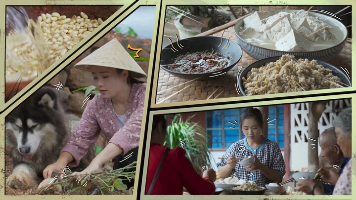 [Điền Tây Tiểu Anh] Có bao nhiêu cách ăn đậu nành? Đậu phụ khô còn ngon hơn thịt!