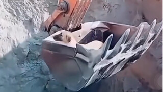 Which brand is the best in excavator technology?