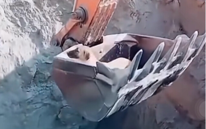 Công nghệ máy xúc nhà nào mạnh nhất?