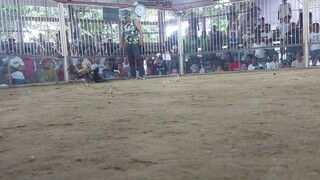 Bulik vs Pula Another one