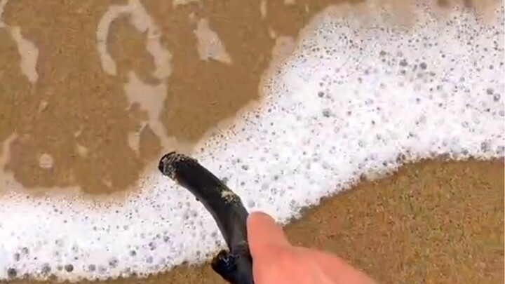 刷到此视频者，霉运走开，好运常来！