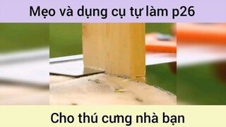 Mẹo và dụng cụ tự làm cho thú cưng p26