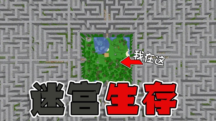 出生在每天都会变化的迷宫里!收集物资逃离这里?我的世界#1