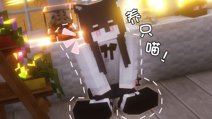 มาในโลกมายคราฟเก็บลูกแมวน่ารักสุดๆ กลับไปเลี้ยงกันเถอะ! ~ อนิเมชั่นมายคราฟ “เรื่องราวของแมวที่บ้าน”