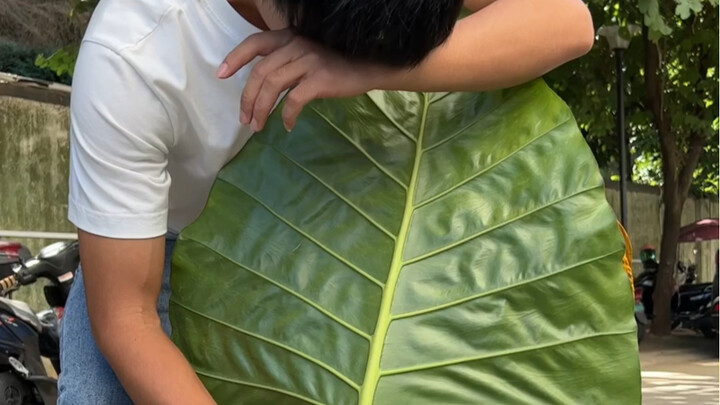 掀开，看哭了