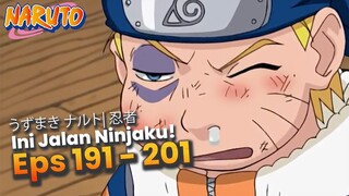 Naruto's training and growth- RANGKUMAN NARUTO EPISODE 191 - 201 BAHASA INDONESIA