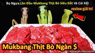 Đàn Bọ Ngựa Lần Đầu Mukbang Thịt Bò Đắt Giá Của Giới Siêu Giàu Và Cái Kết | Review Giải Trí Đời Sống